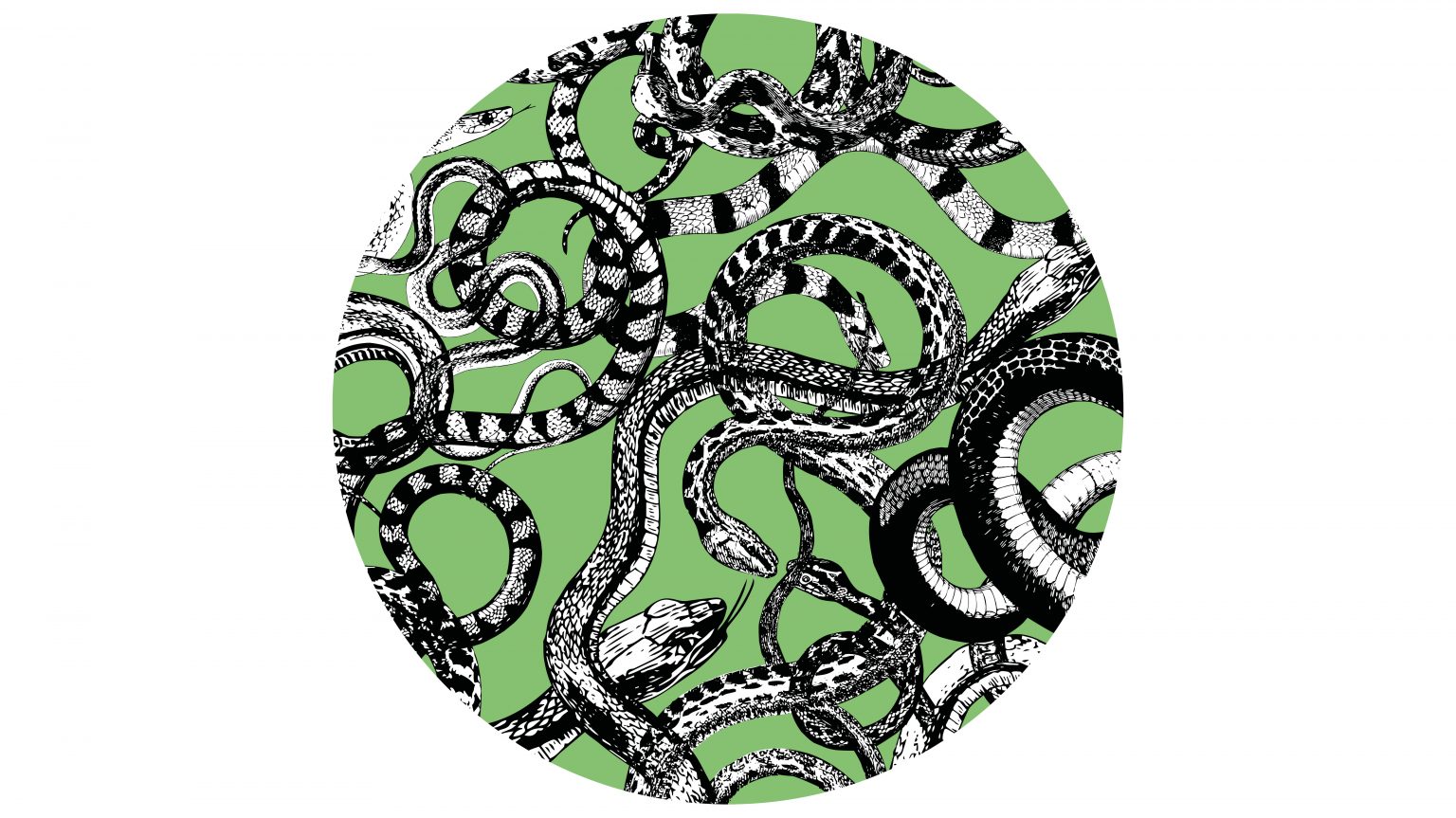 Carpet Fauna Mix Serpente . by Regina Silveira